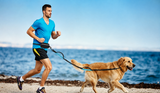 Man running on the beach with his golden retriever using the TrailTether hands-free bungee dog leash and waist belt